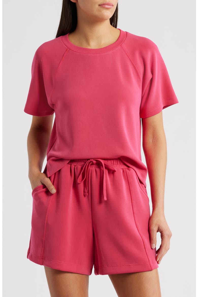 Raglan Sleeve T-Shirt, Main, color, BRIGHT ROSE