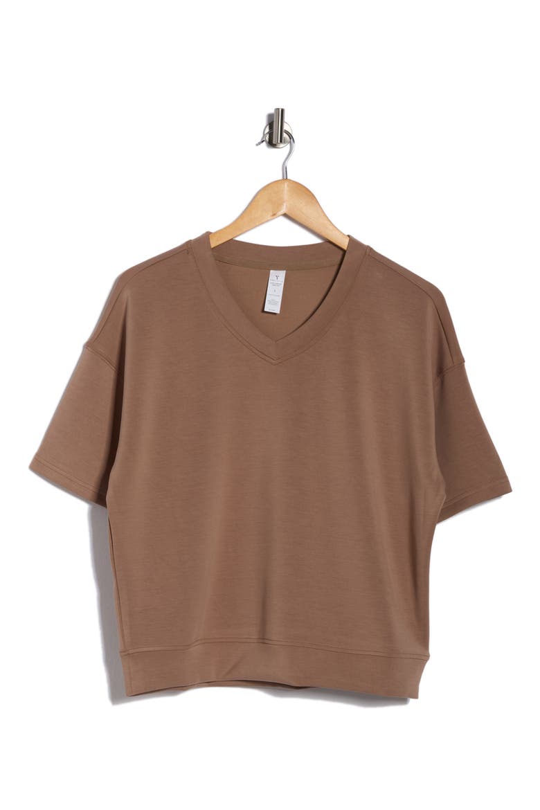 Sandwashed Softlite Short Sleeve Top, Alternate, color, WASHED TIRAMISU