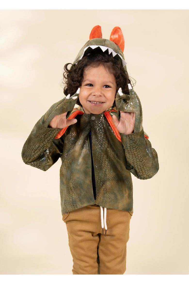 Dinosaur Play Costume Cape, Alternate, color, Brown