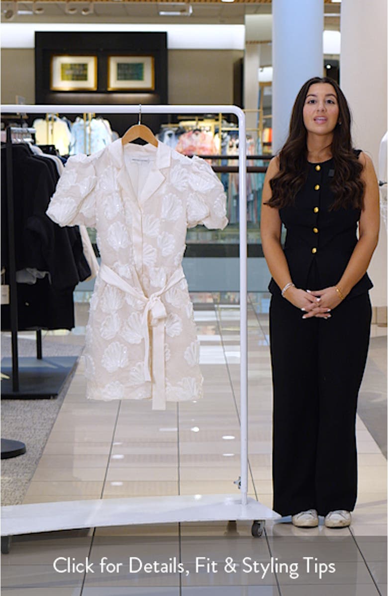 Shell Puff Sleeve Tie Waist Minidress, sales video thumbnail