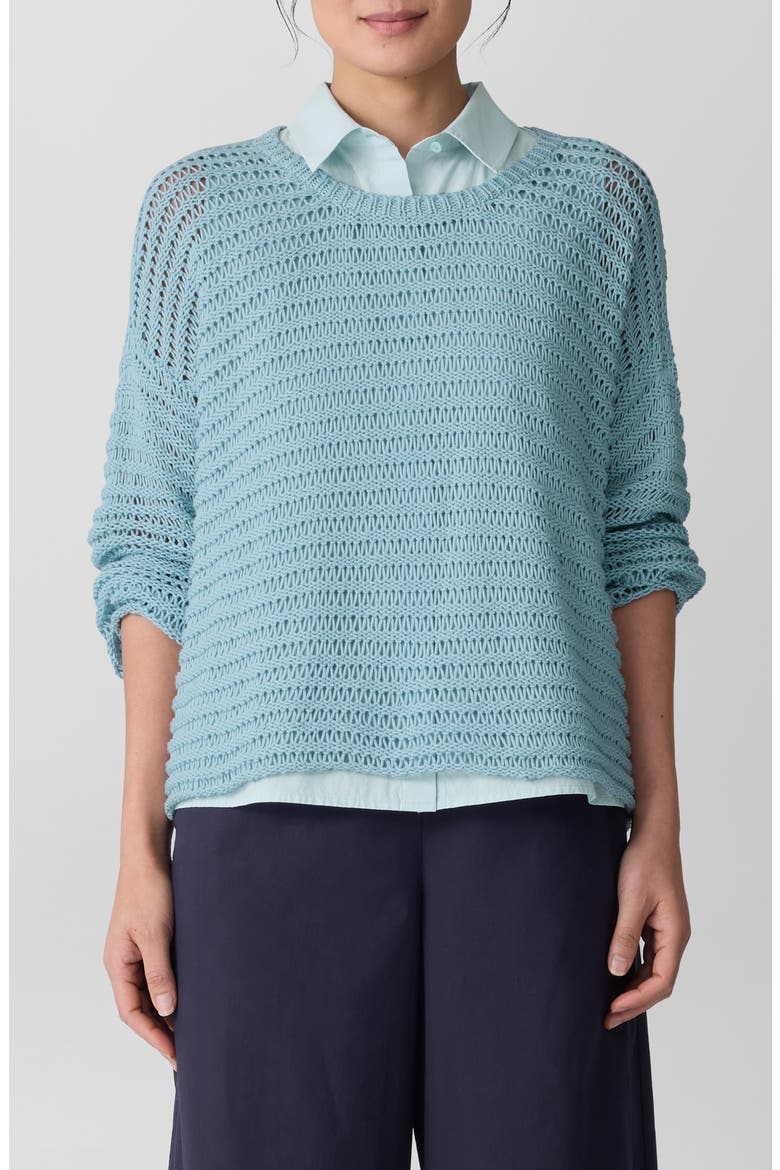 Crewneck Oversize Organic Cotton Sweater, Main, color, PALE SKY