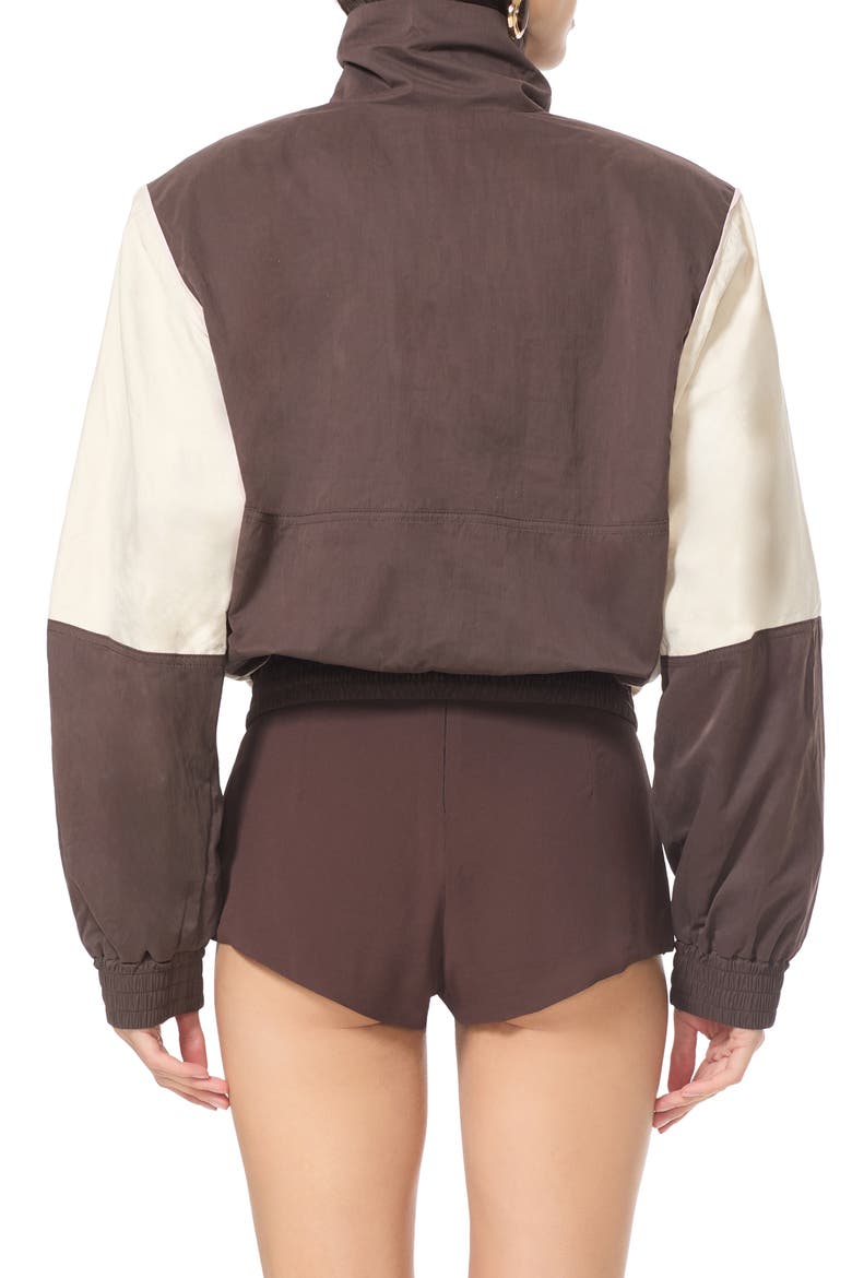 Colorblocked Quarter Zip Pullover, Alternate, color, MIXED COFFEE BEAN