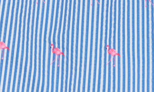 Rainforest Flamingo Stripe Seersucker Swim Trunks In Blue