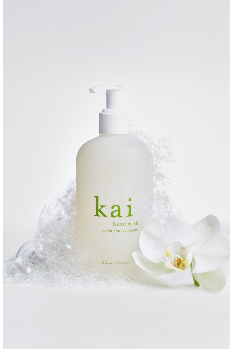 Hand Wash, Alternate, color, NO COLOR