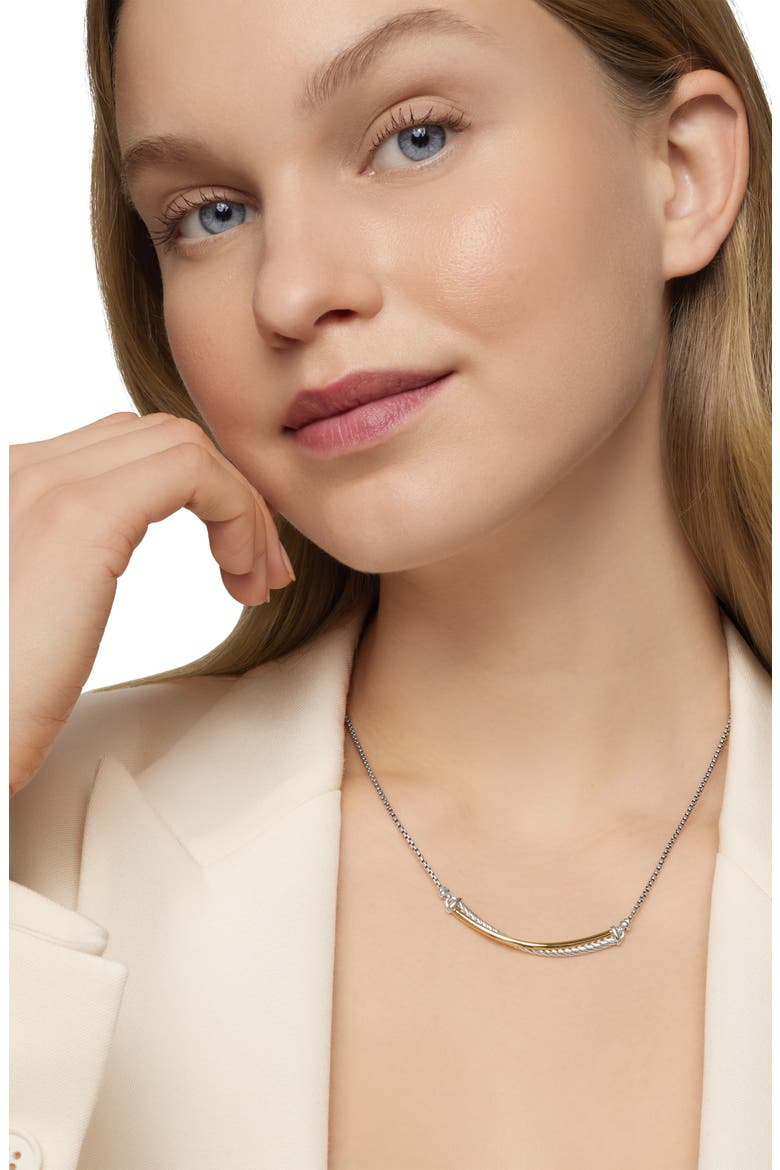 Crossover Bar Necklace with 18K Gold, Alternate, color, SILVER/ GOLD