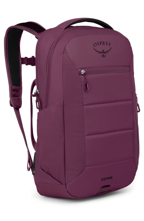 Osprey Ozone Laptop Travel Bag