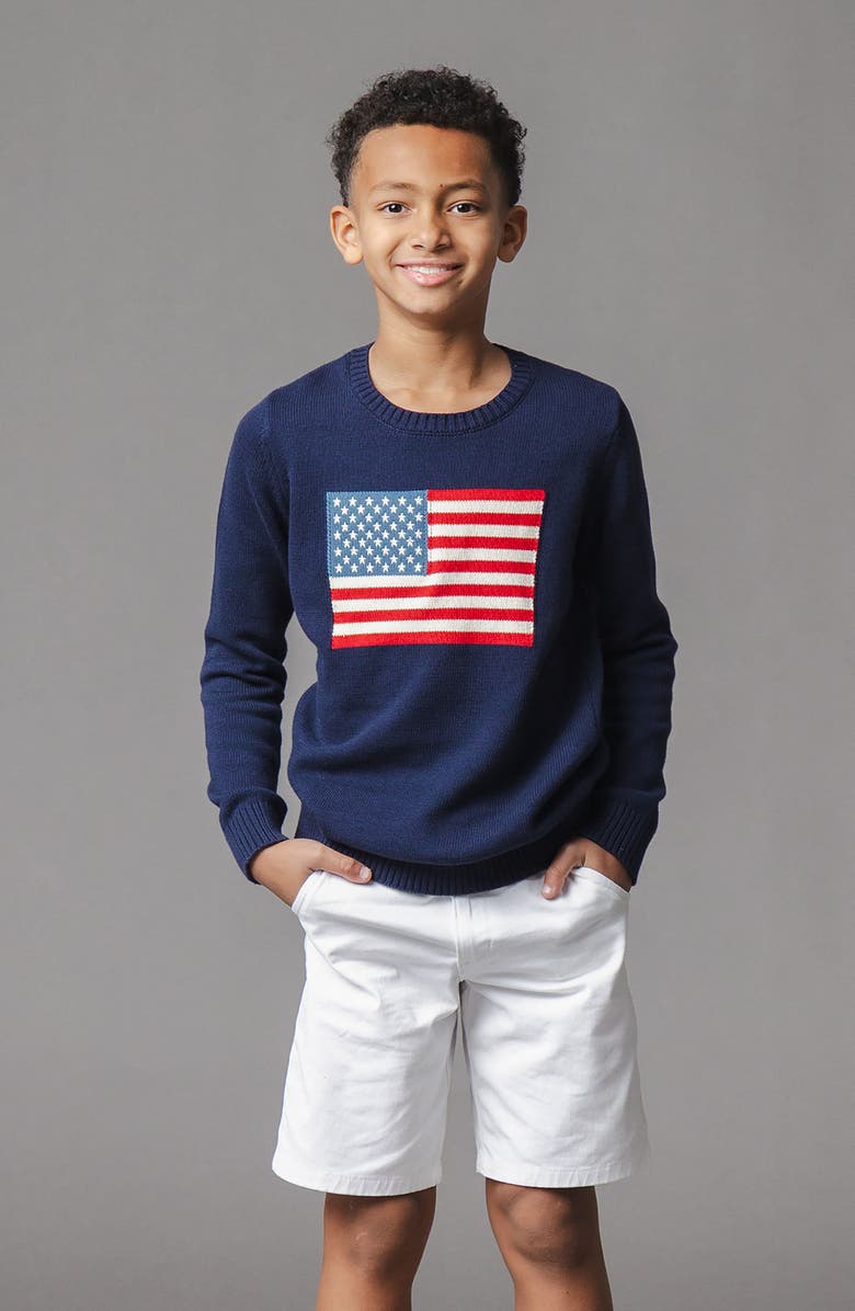 Hope & Henry Organic Crew Neck Flag Sweater, Alternate, color, Navy Flag