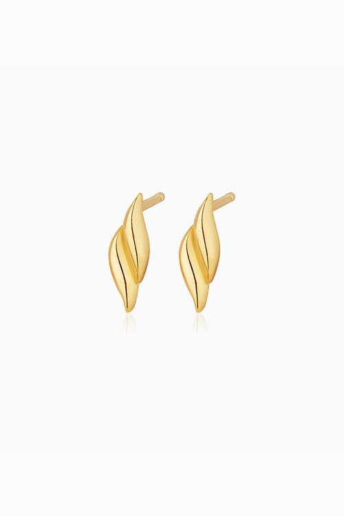Oradina 14k Gold Making Waves Studs In Yellow Gold
