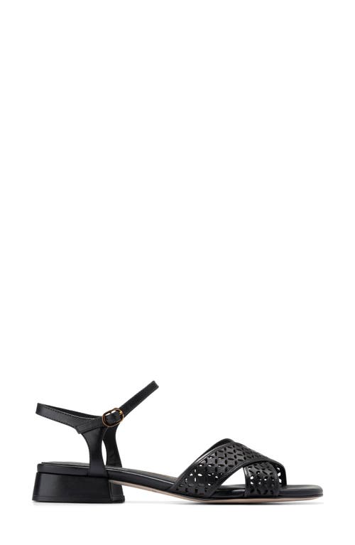 Cole Haan Patie Sandal In Black Perforated Leather
