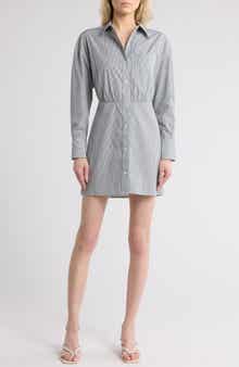 TWP Devon Pinstripe Shirtdress
