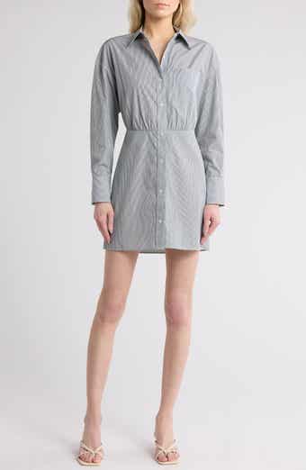 TWP Devon Pinstripe Shirtdress