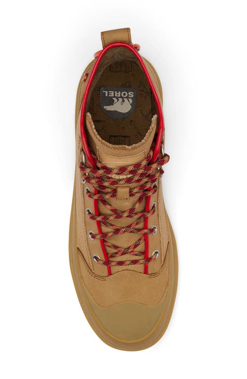 Sorel Scout N About Sneakers In Brown