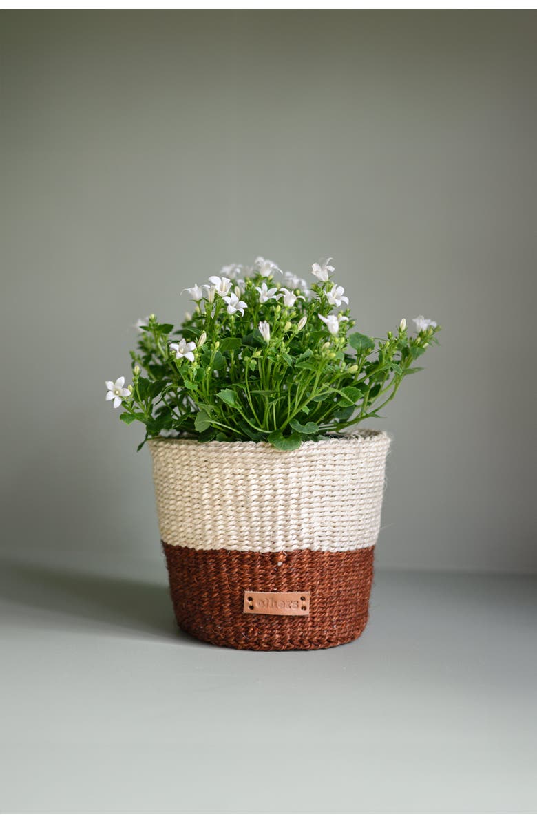 Others Trade for Hope Striped Flower Pot, Alternate, color, Brown