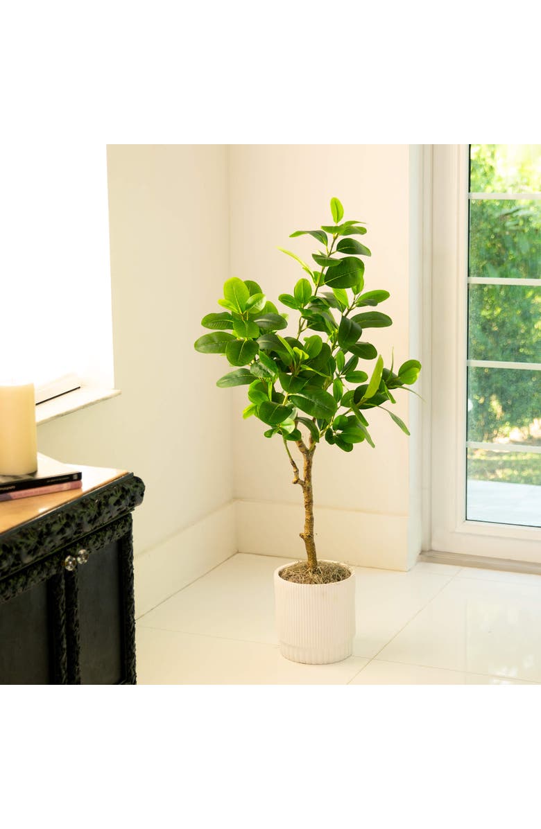 NEARLY NATURAL 4-ft Artificial Audrey Ficus Tree, Alternate, color, Green