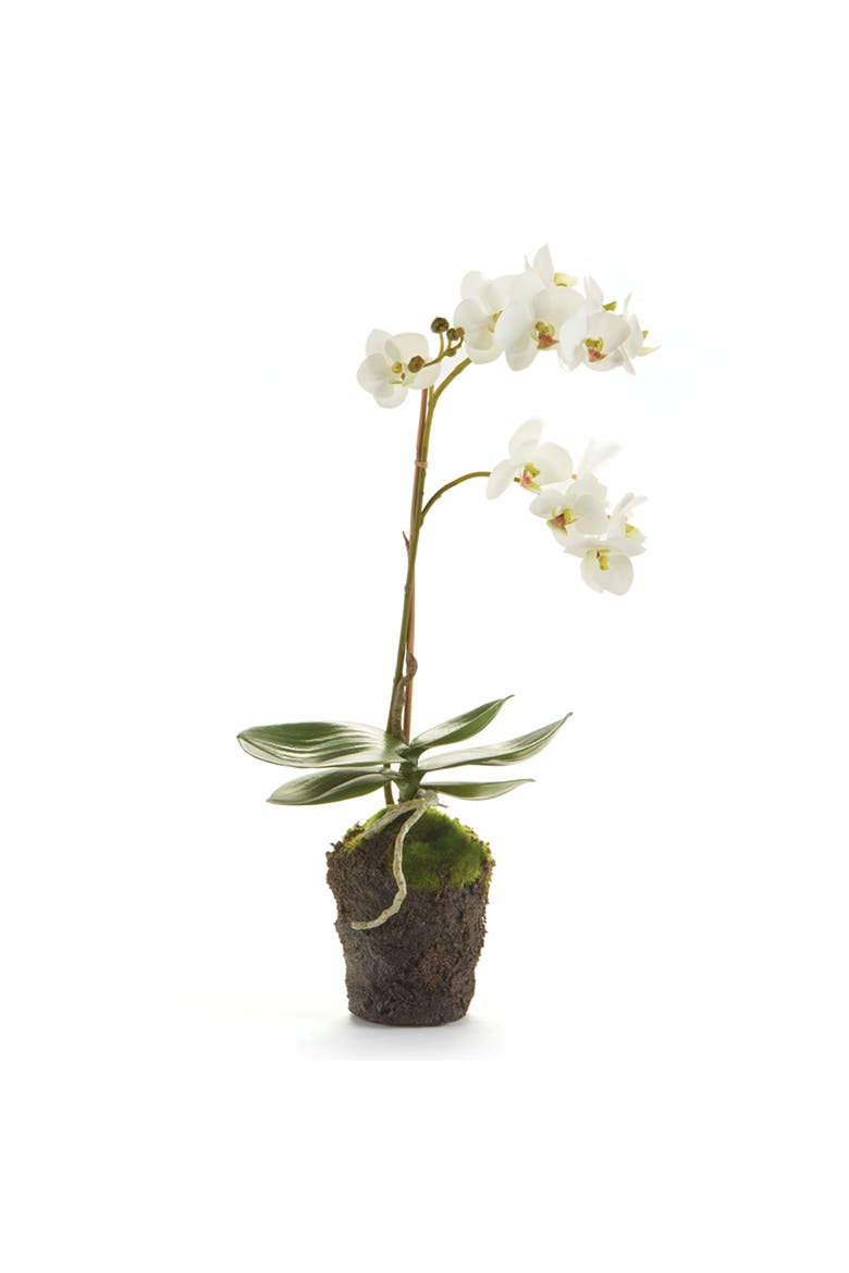 Phalaenopsis Orchid Faux (Fake) Drop-In 17", Main, color, White