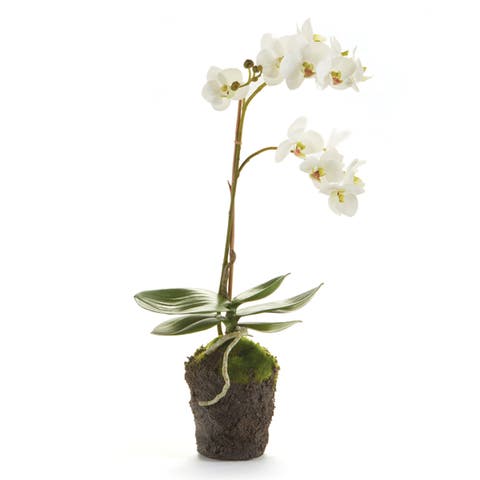 Phalaenopsis Orchid Faux (Fake) Drop-In 17"