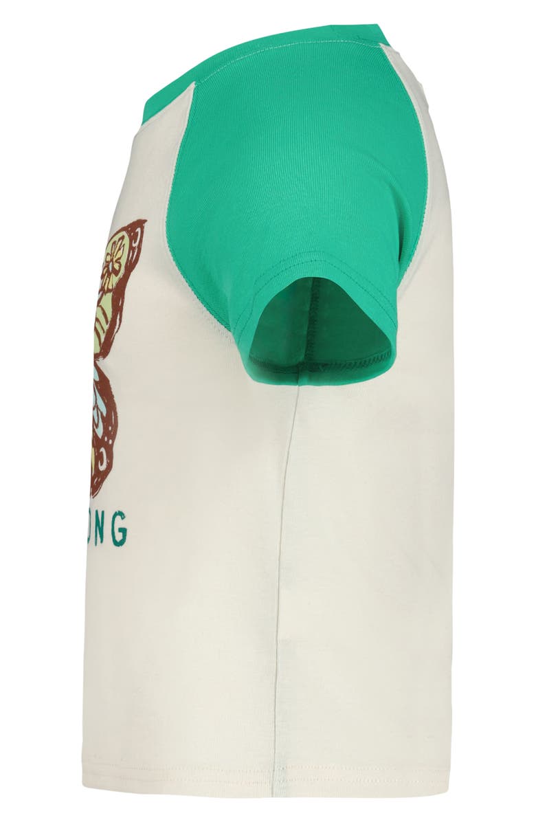 Billabong Kids' Butterfly Stamp Raglan T-Shirt, Alternate, color, Gumdrop Green