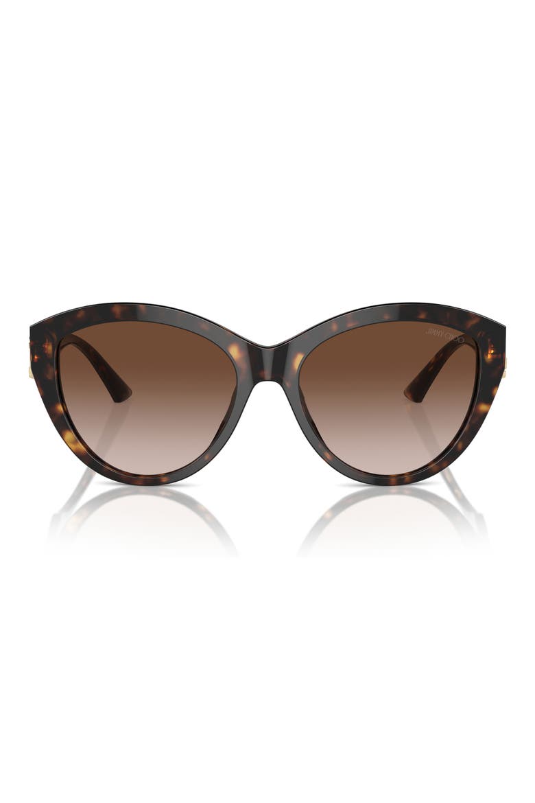 55mm Gradient Phantos Sunglasses, Main, color, HAVANA / GRADIENT BROWN
