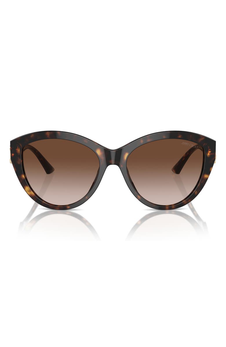 Jimmy Choo 55mm Gradient Phantos Sunglasses, Main, color, Havana / Gradient Brown
