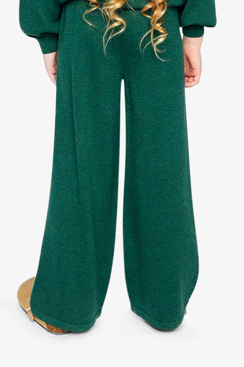 Knitted Drawstring Waist Wide Leg Flare Pants, Alternate, color, Jasper Printed Green
