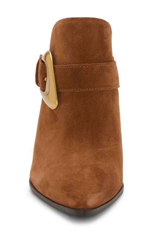 Vince Camuto Bailey Pointed Toe Mule