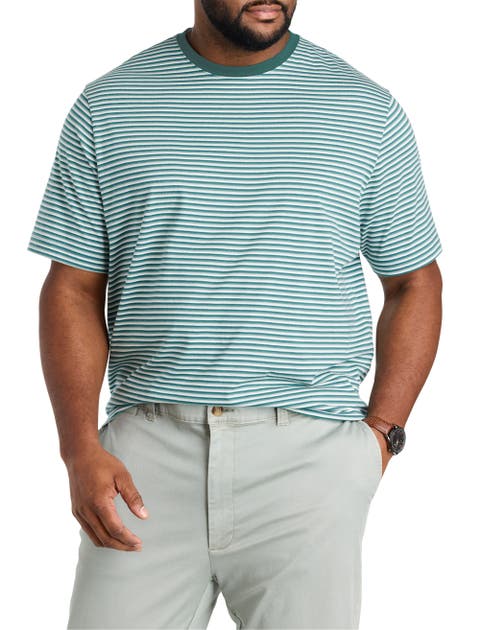 Big & Tall Moisture-Wicking Multi-Striped T-Shirt