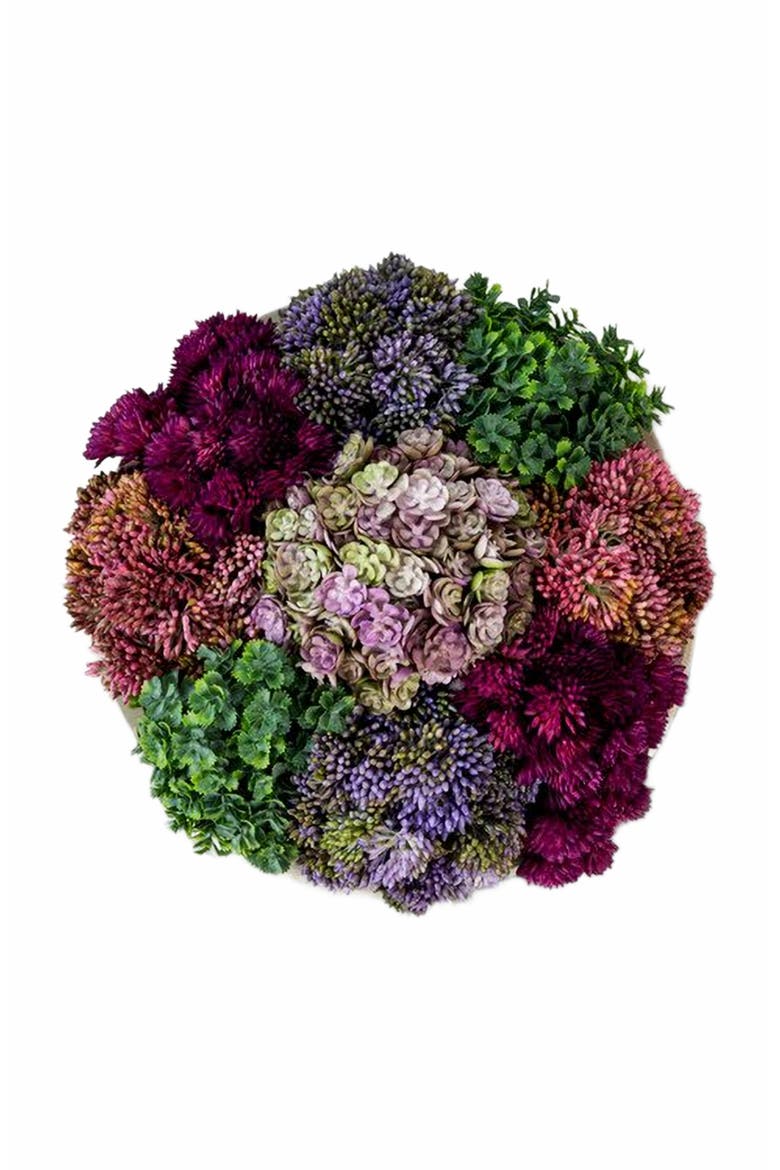 Georgina Sedum Arrangement, Alternate, color, Charcoal