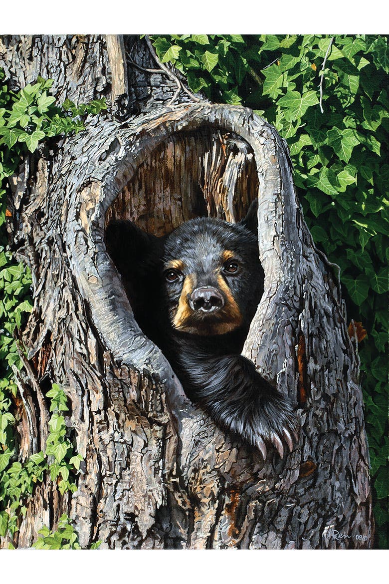 Cubby Hole 500 piece Jigsaw Puzzle for Adults, Alternate, color, Multicolor