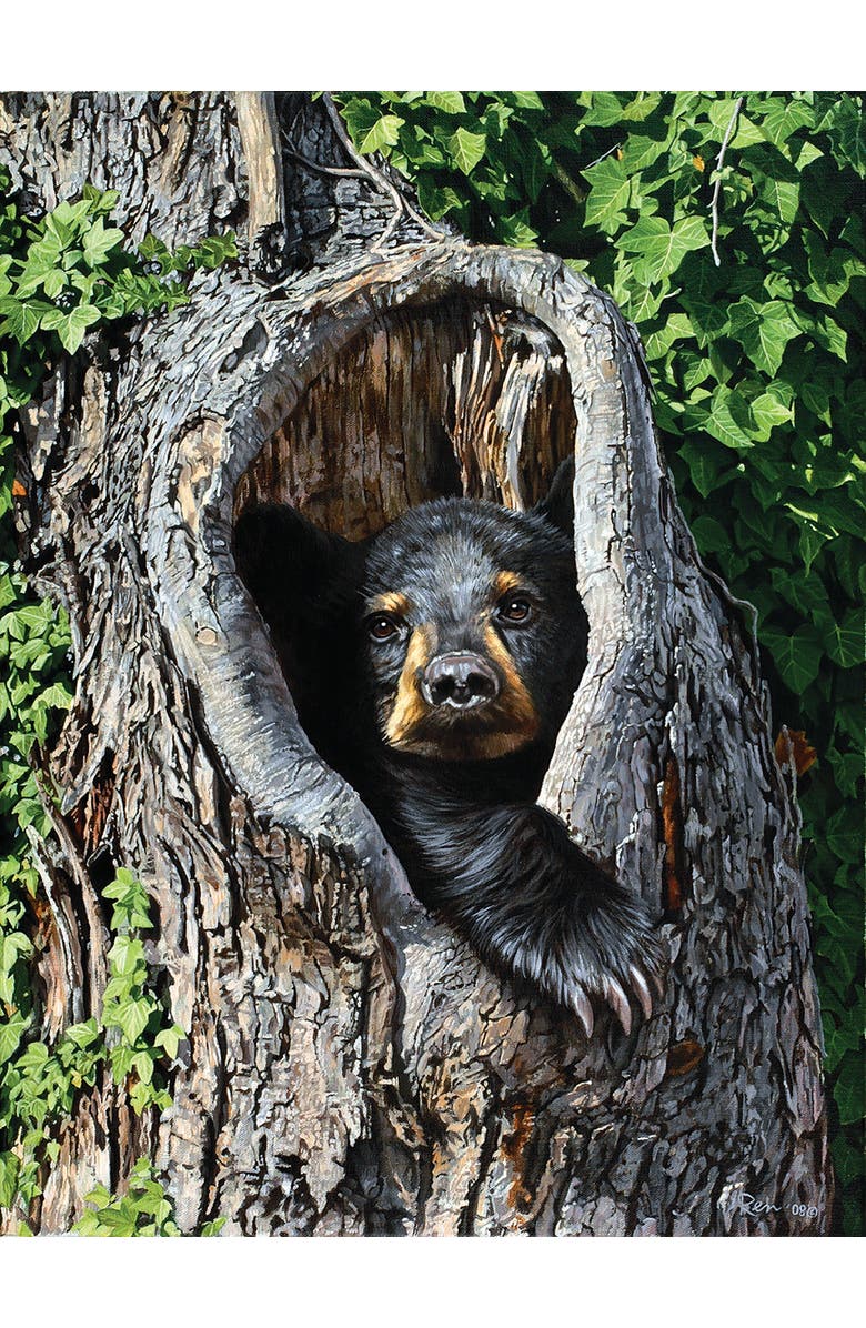 Sunsout Cubby Hole 500 piece Jigsaw Puzzle for Adults, Alternate, color, Multicolor