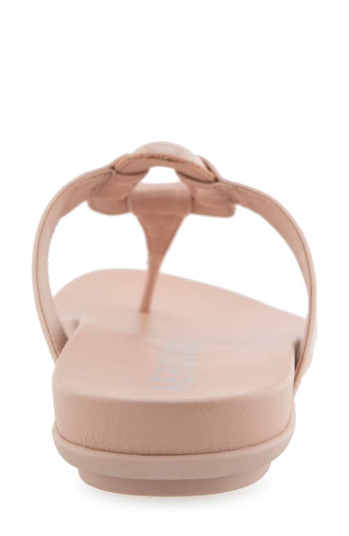 AEROSOLES AEROSOLES FALLON HARNESS SANDAL 