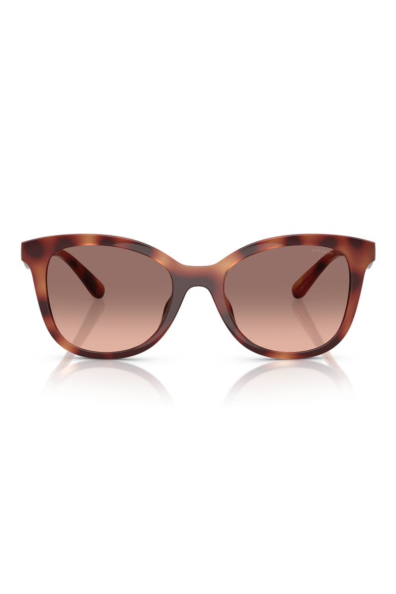 55mm Square Sunglasses, Main, color, CARAMEL TORTOISE / BROWN PINK