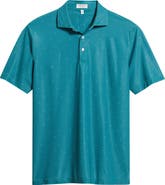 Peter Millar Island Rays Performance Mesh Polo