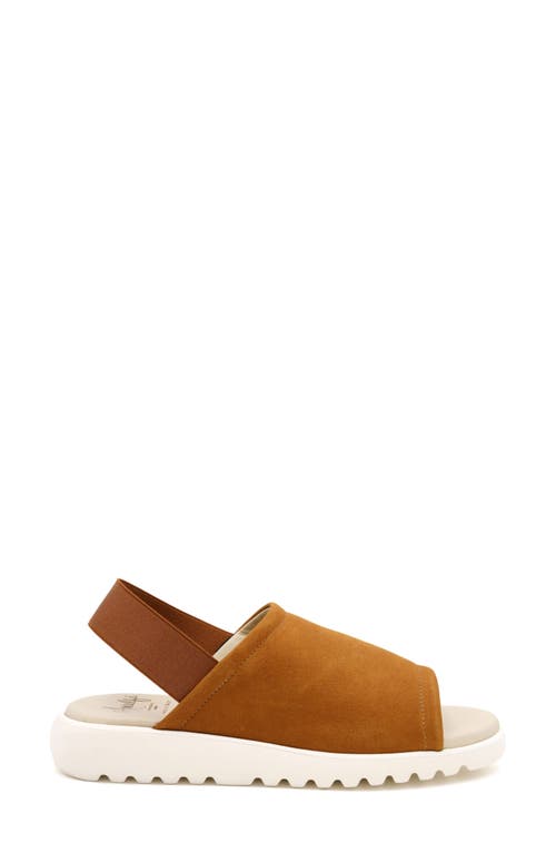 Amalfi By Rangoni Bahamas Slingback Sandal In Cognac Long Beach/black