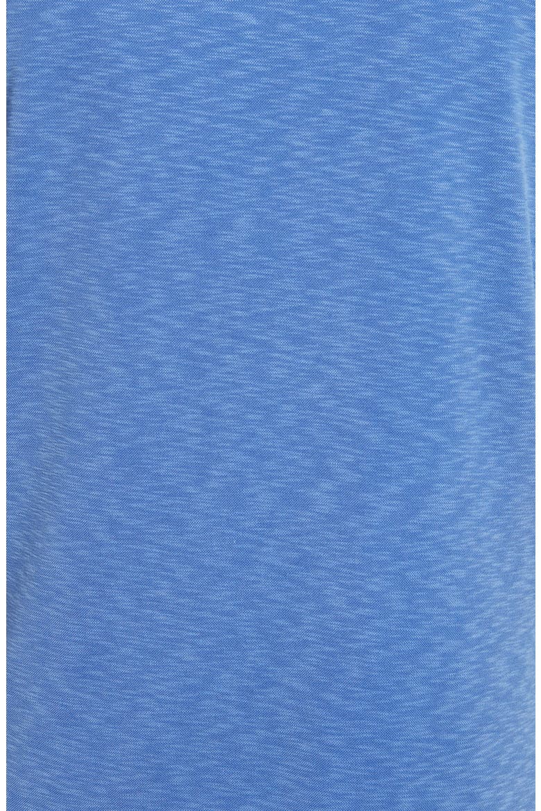 Vintage Slub Jersey Polo, Alternate, color, BLUE