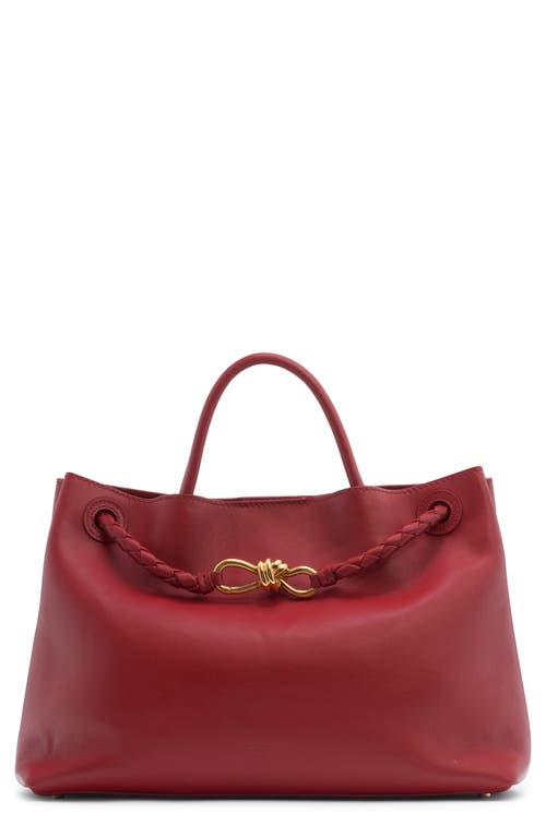 Bottega Veneta Medium Andiamo Leather Shoulder Bag in 6545 Rosewood/Space-Mb at Nordstrom