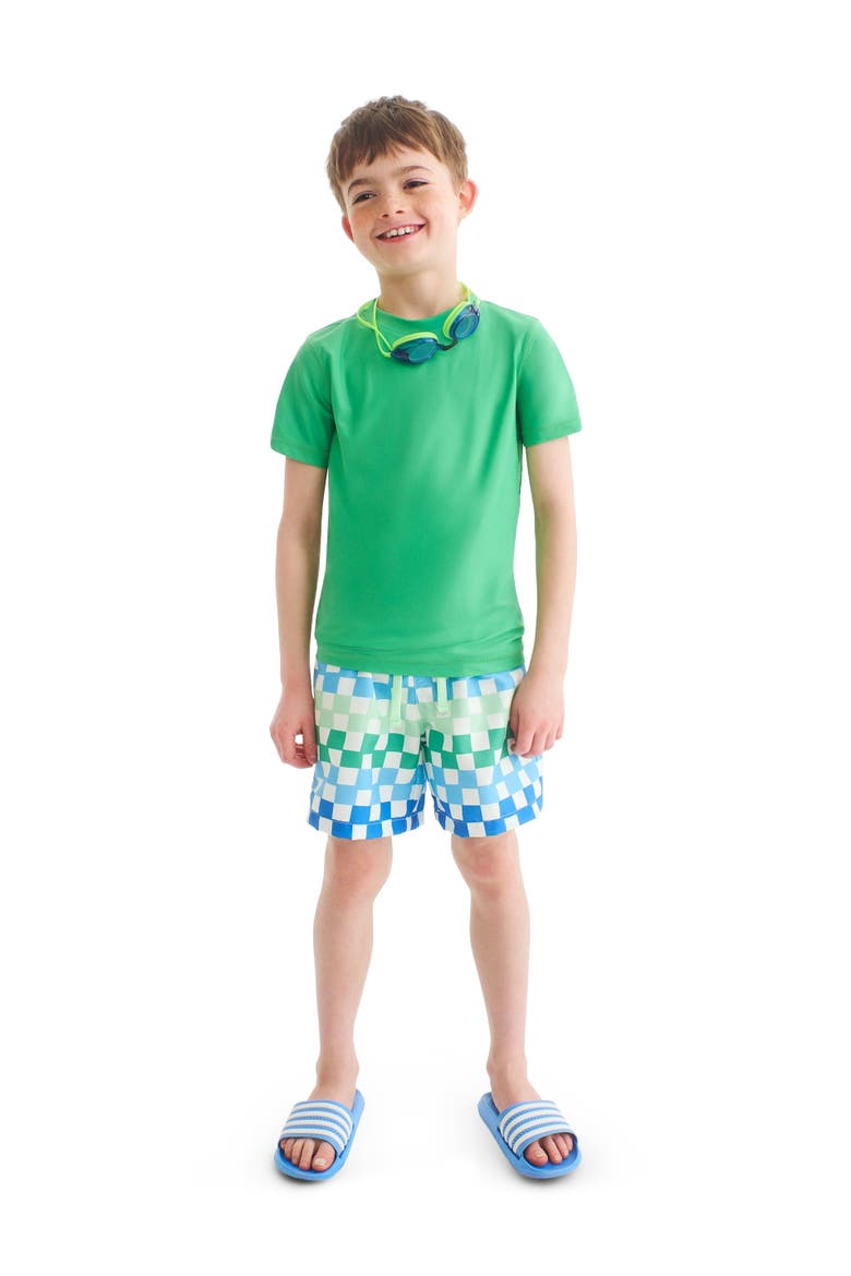 Kids Swim Trunk In Check, Alternate, color, Green Apple Multi Checks