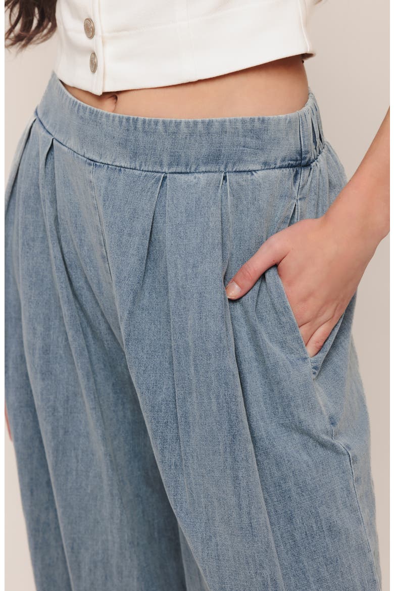 Pleated Wide Leg Pants, Alternate, color, LIGHT INDIGO