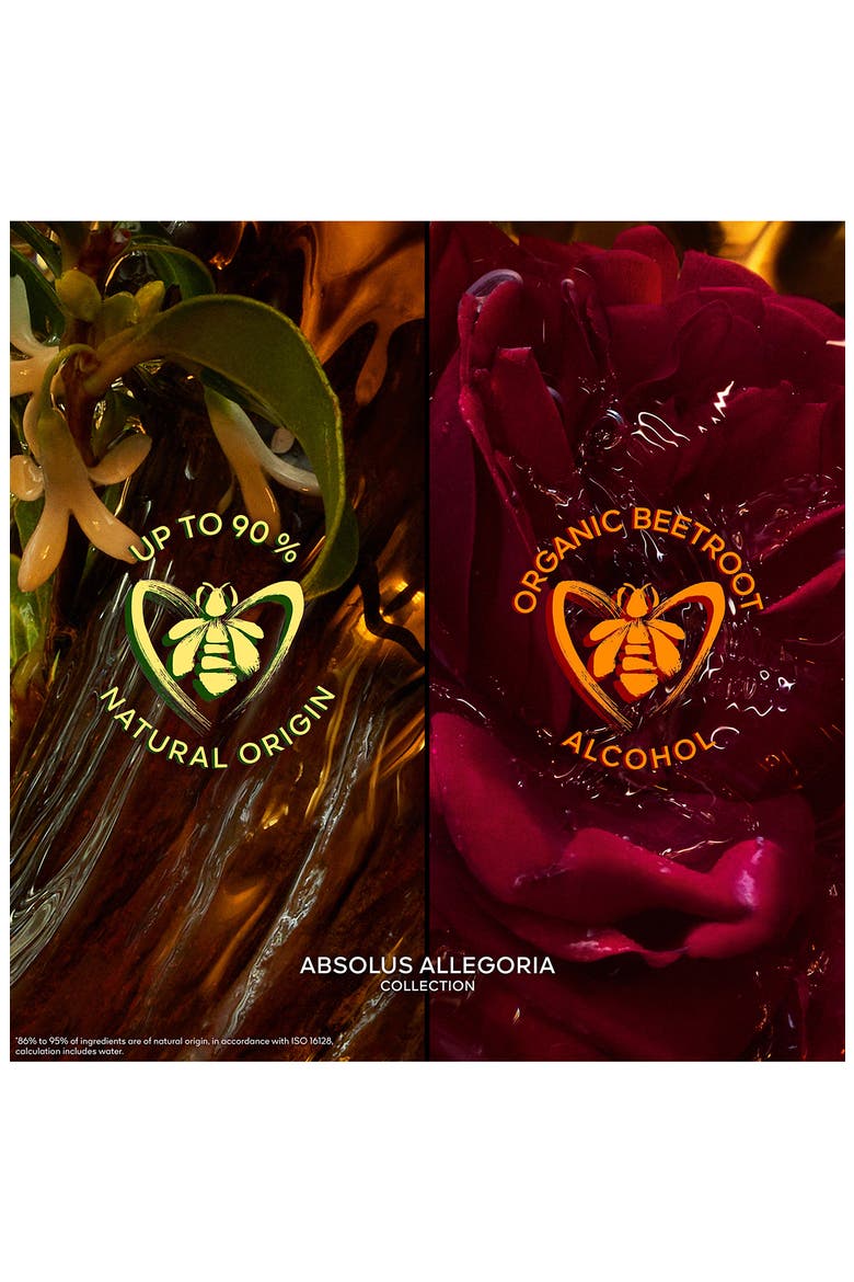 Absolus Allegoria Rose Amira Eau de Parfum, Alternate, color, NO COLOR