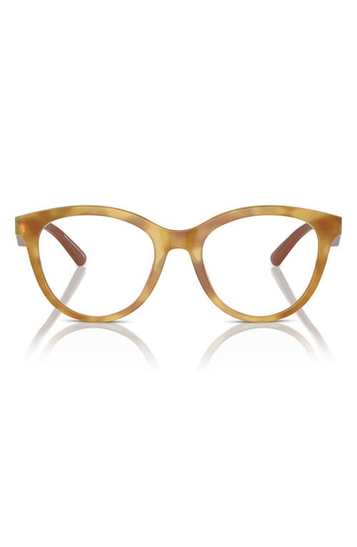 Emporio Armani 52mm Cat Eye Optical Glasses In Gold