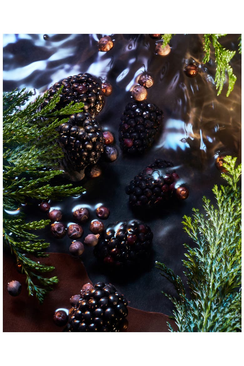 Elysium Noir Eau de Parfum, Alternate, color, NO COLOR