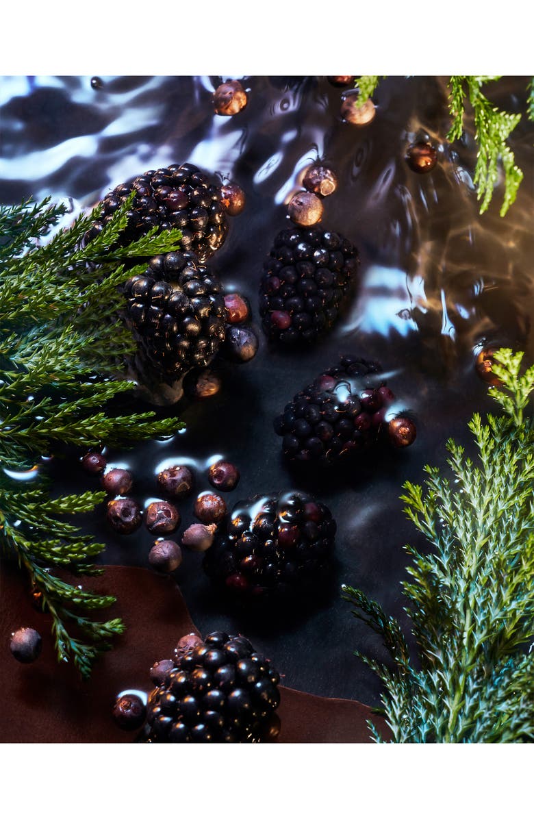 ROJA Elysium Noir Eau de Parfum, Alternate, color,