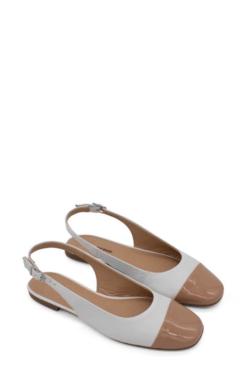 Bottero Botsamya Xxiv Slingback Flat
