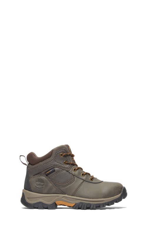Timberland Kids' Mt. Maddsen Waterproof Hiking Boot In Dark Brown