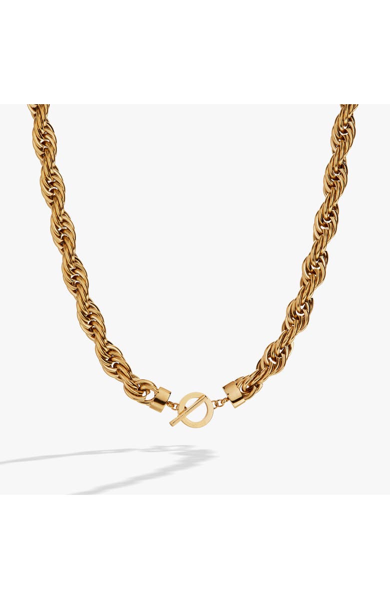 Alex and Ani Large Rope Chain Toggle Necklace, Main, color,