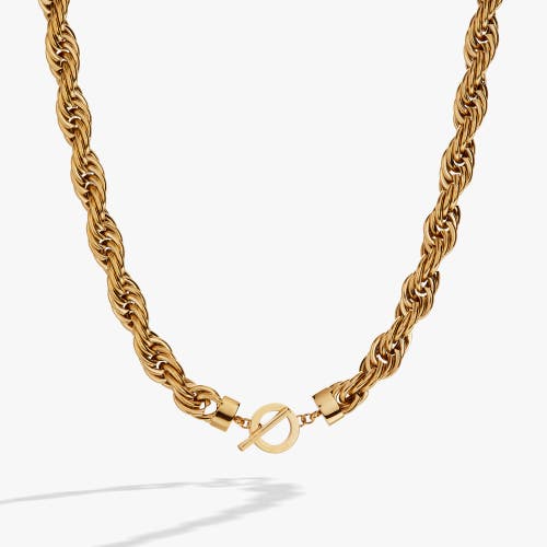 Alex And Ani Large Rope Chain Toggle Necklace