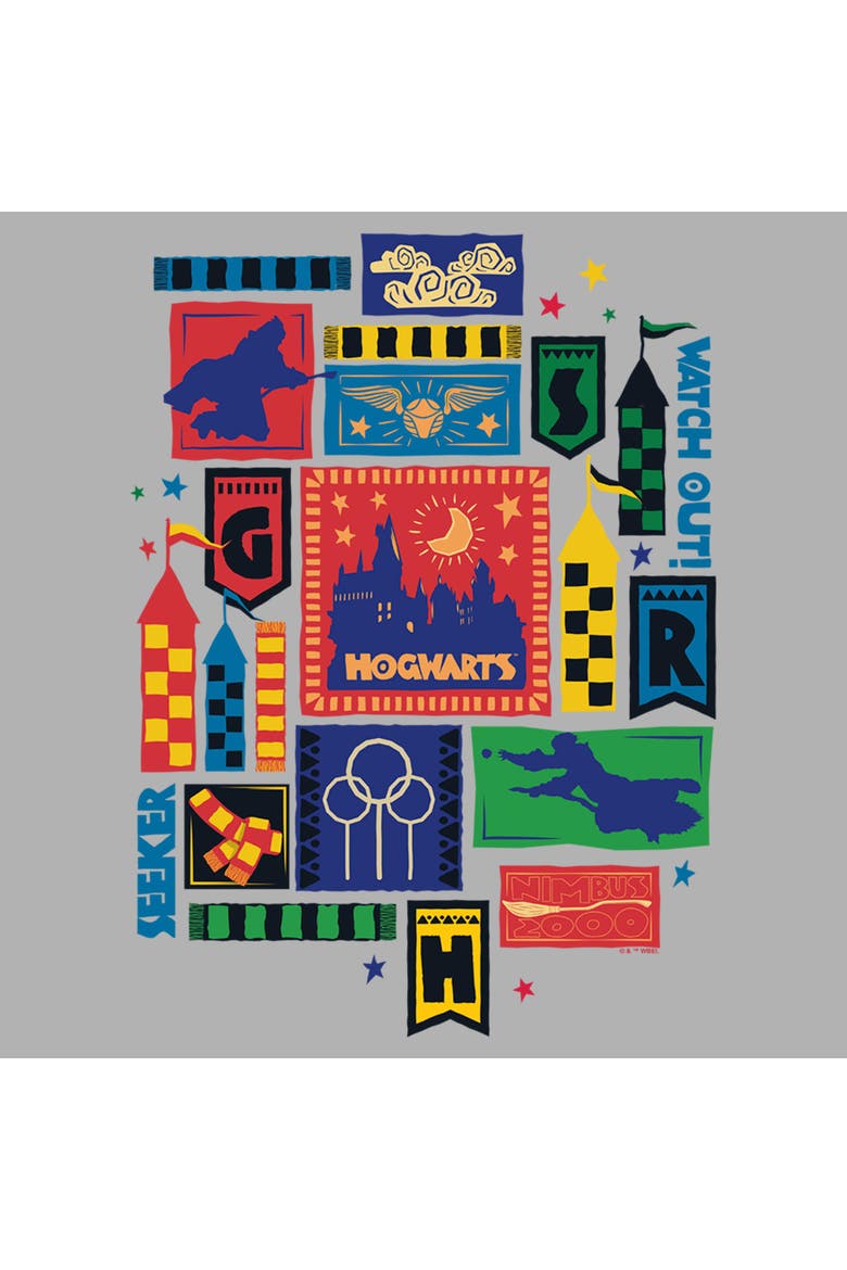 Boy's Harry Potter Quidditch Collage  Graphic T-Shirt, Alternate, color, Sport Grey