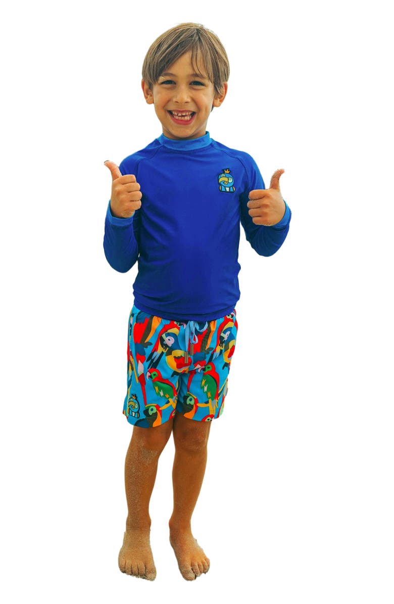 Roarsome Long Sleeve Rash Guard, Alternate, color,