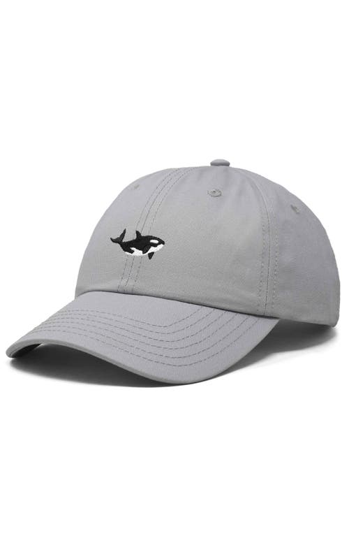 Dalix Killer Whale Embroidered Dad Hat In Gray