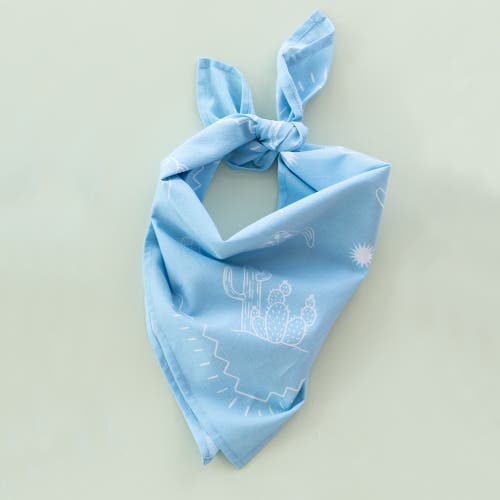 Daydream Society Yeehaw Bandana In Sun