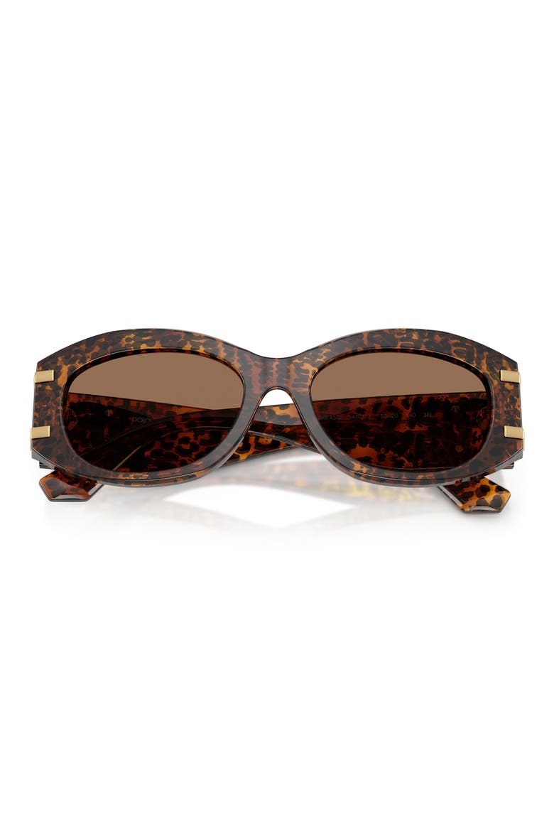 55mm Oval Sunglasses, Alternate, color, LEO TRANSPARENT / DARK BROWN